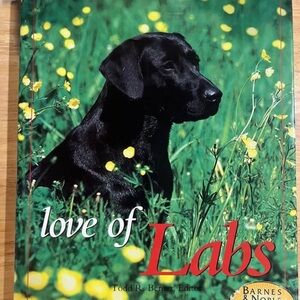 Barnes & Noble Gold Inspirational Quote Art